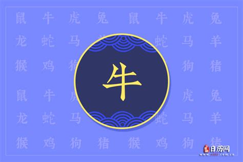 牛年出生|属牛有哪些年份 生肖牛年是哪几年